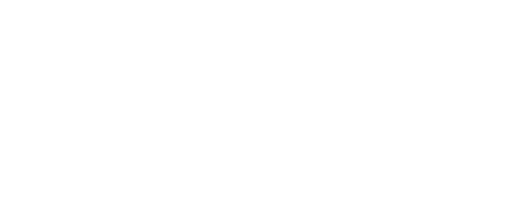 ORIS Delivery